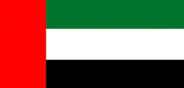 Part-AUE-flag.jpg